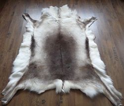 XXL RENTIERFELL Rentier Dekofell Original Skandinavien 150-170 x 120-130cm mit Siegel